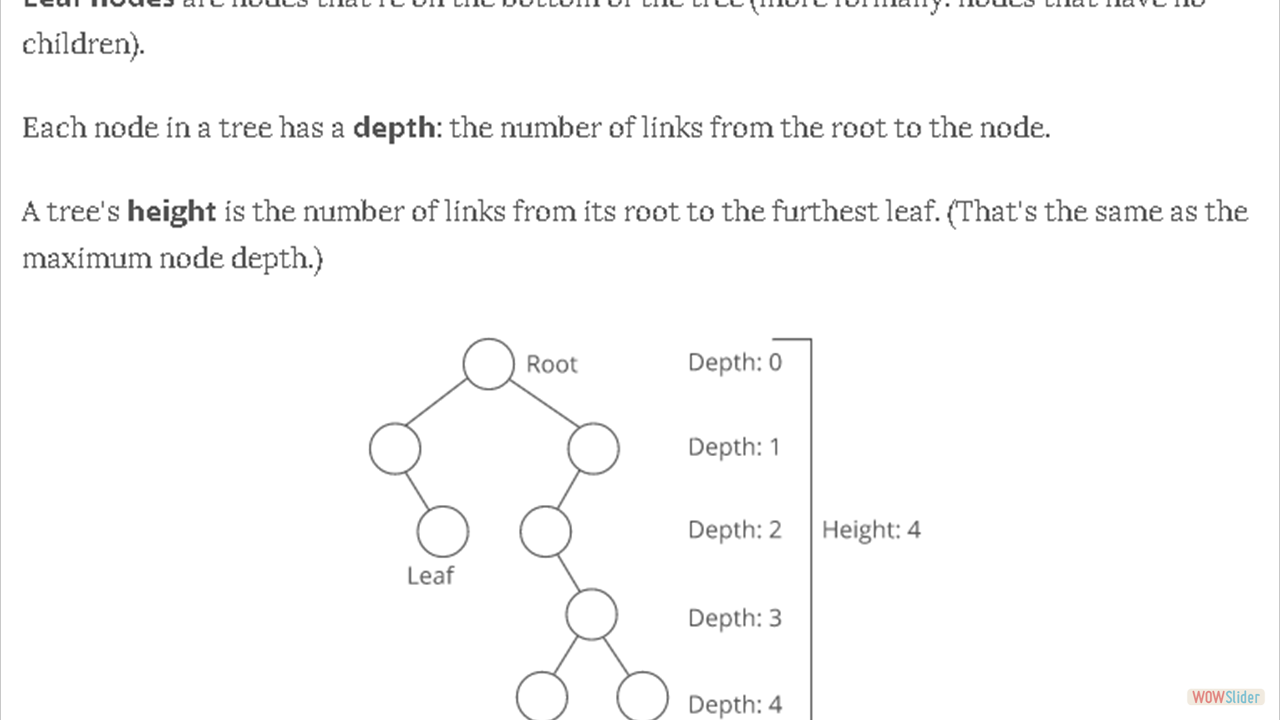 leaves-depth-height